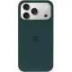Чохол Silicone Case Full Protective (AA) для Apple iPhone 17 Pro Max (6.9") Зелений / Forest green