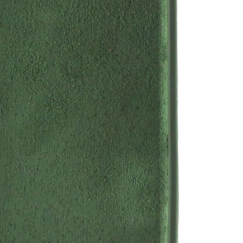 Чохол Silicone Case Full Camera Protective (AA) для Apple iPhone 16 Plus (6.7") Зелений / Cyprus Green