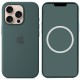 Чохол Silicone case (AAA) full with Magsafe and Animation для Apple iPhone 16 Pro (6.3") Lake Green