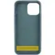 Чохол Silicone Case Full Protective (AA) для Apple iPhone 16 (6.1") Зелений / Cactus