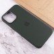 Чохол Silicone case (AAA) with Magsafe and Animation для Apple iPhone 12 Pro / 12 (6.1") Зелений / Cyprus Green