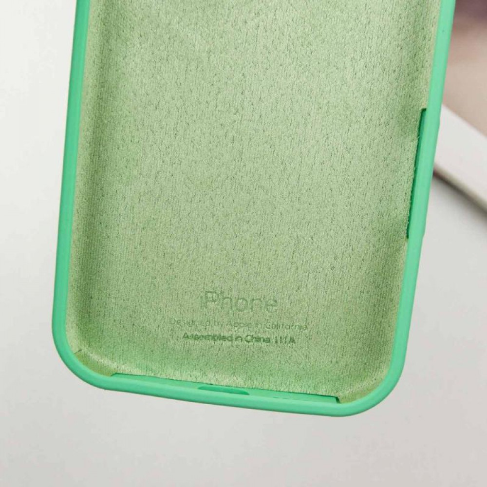 Чехол Silicone Case Full Protective (AA) для Apple iPhone 16 Pro (6.3")