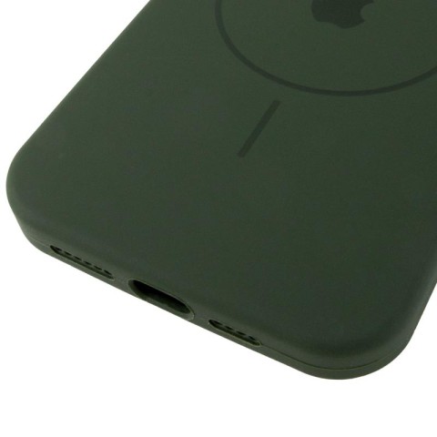 Чохол Silicone Case Full Protective (AA) V2 with MagSafe для Apple iPhone 11 Pro Max (6.5") Зелений / Cyprus Green