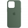 Чохол Silicone case (AAA) full with Magsafe and Animation для Apple iPhone 13 Pro (6.1") Зелений / Eucalyptus