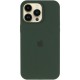 Чехол Silicone Case (AA) Logo with MagSafe для Apple iPhone 15 Pro Max (6.7")