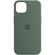 Чохол Silicone case (AAA) with Magsafe and Animation для Apple iPhone 13 (6.1") Зелений / Eucalyptus