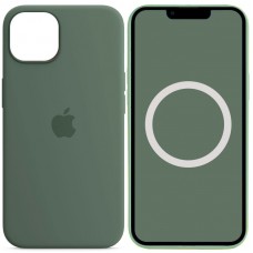 Чохол Silicone case (AAA) with Magsafe and Animation для Apple iPhone 13 (6.1") Зелений / Eucalyptus