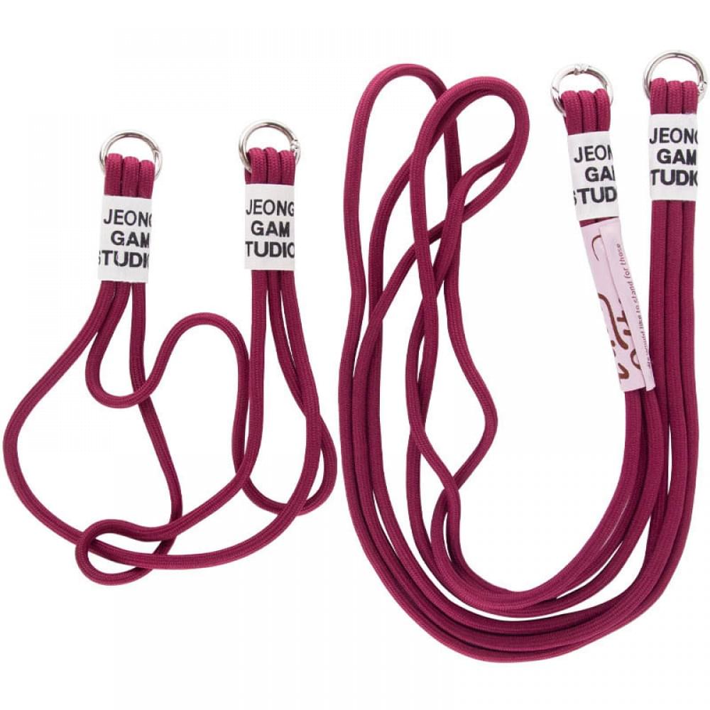 Чехол TPU two straps California для Apple iPhone 13 (6.1")