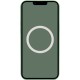 Чохол Silicone case (AAA) with Magsafe and Animation для Apple iPhone 13 (6.1") Зелений / Eucalyptus