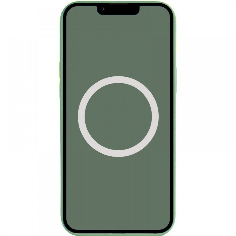 Чохол Silicone case (AAA) with Magsafe and Animation для Apple iPhone 13 (6.1") Зелений / Eucalyptus