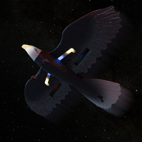 Літак-птица на радіокеруванні SCHE HW40 Eagle Black