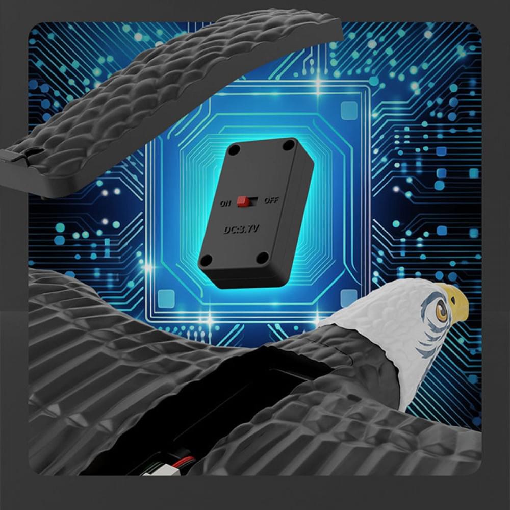 Самолет-птица на радиоуправлении SCHE HW40 Eagle