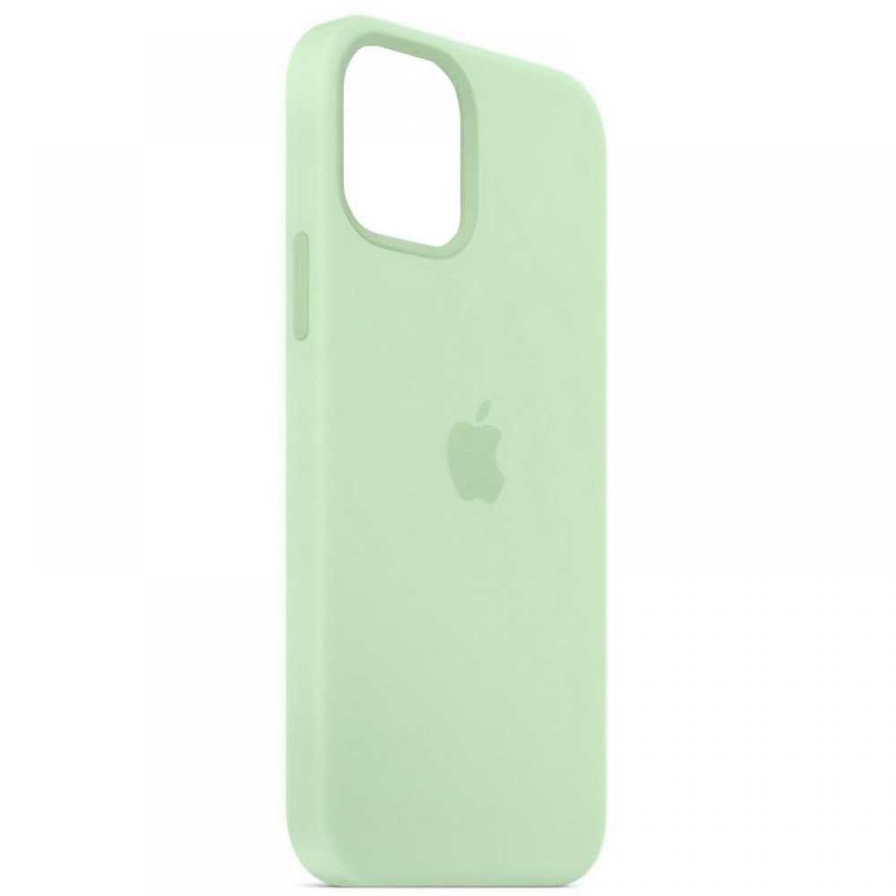 Чохол Silicone Case Full Protective (AA) для Apple iPhone 11 (6.1") Зелений / Pistachio