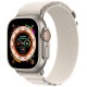 Ремінець Alpine Loop для Apple Watch 42(ser.1-3)/44/45/46/49mm (m/l) Сірий / Starlight