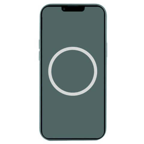 Чохол Silicone case (AAA) with Magsafe and Animation (button) для Apple iPhone 16 Pro Max (6.9") Lake Green
