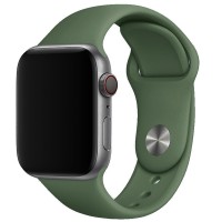 Силіконовий ремінець для Apple Watch 38/40/41/42mm(ser.10) Зелений / Army green