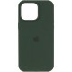 Чехол Silicone Case (AA) Logo with MagSafe для Apple iPhone 15 (6.1")