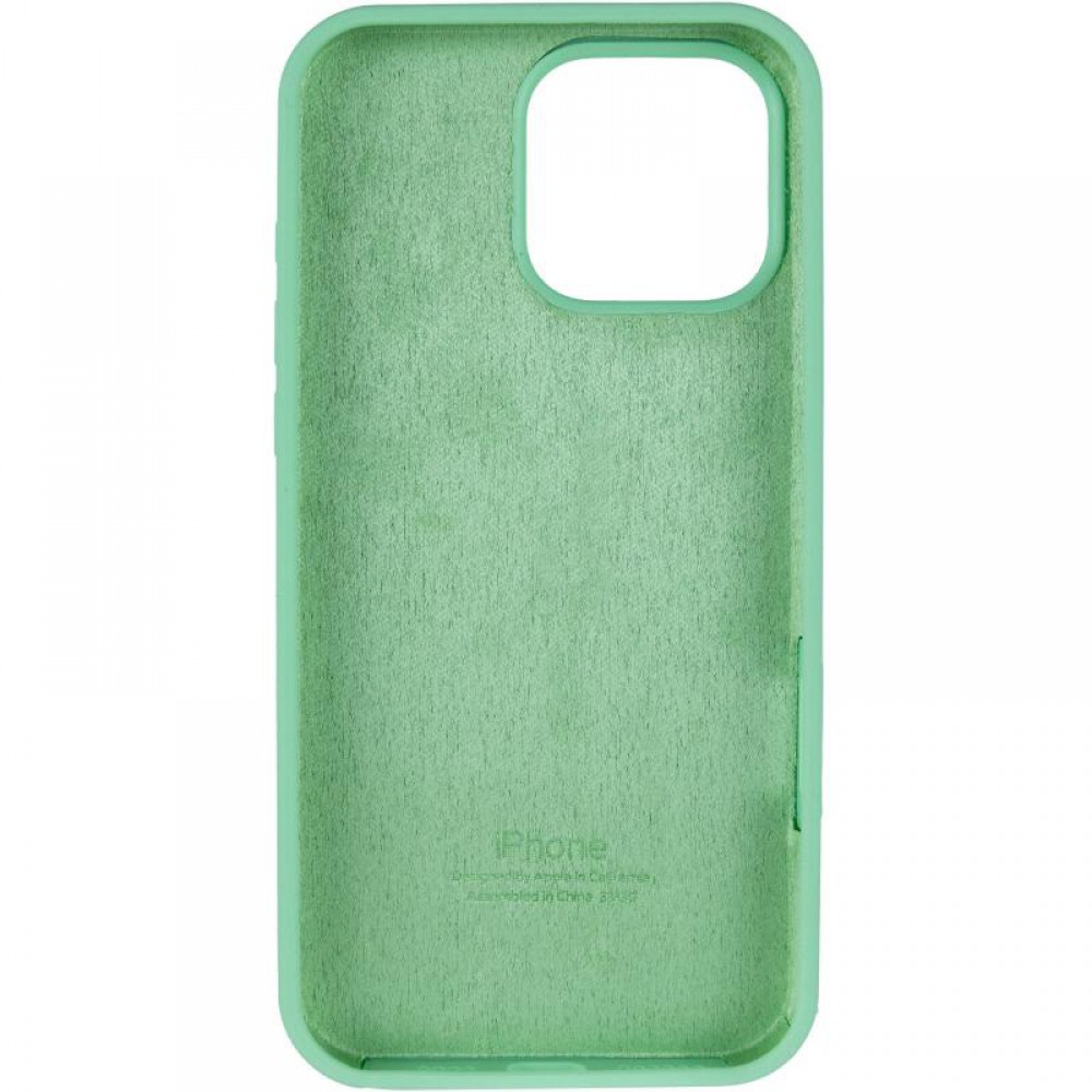 Чохол Silicone Case Full Protective (AA) для Apple iPhone 16 Pro Max (6.9") Зелений / Pistachio