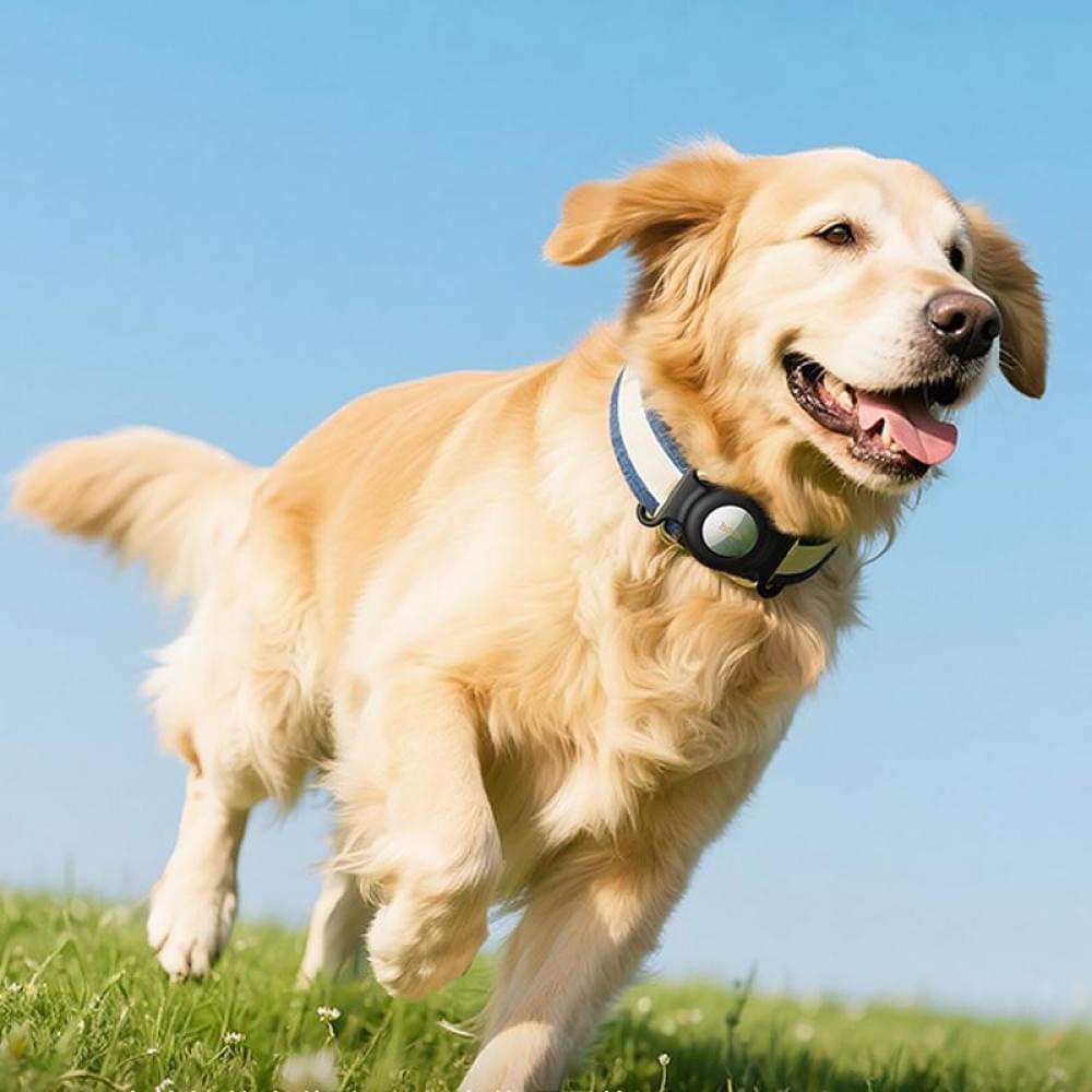 Трекер Hoco E91C Tiger для ошейника 230 mAh White