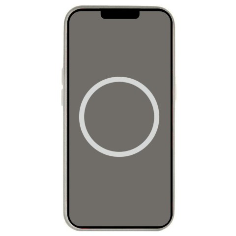 Чохол Silicone case (AAA) with Magsafe and Animation для Apple iPhone 16 Pro (6.3") Stone Grey