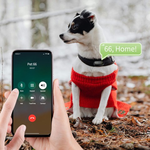 Трекер GPS для тварин V53 Pet Tracker SIM (4GLTE) 900mAh Black