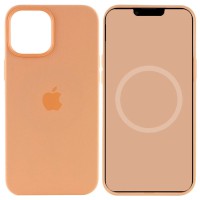 Чохол Silicone case (AAA) with Magsafe and Animation для Apple iPhone 15 Pro Max (6.7") Помаранчевий / Orange Sorbet