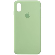 Чохол Silicone Case Full Protective (AA) для Apple iPhone X / XS (5.8") Зелений / Pistachio