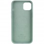 Чохол Silicone case (AAA) full with Magsafe для Apple iPhone 14 Plus (6.7") Бірюзовий / Succulent