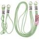 Чохол TPU two straps California для Apple iPhone 12 Pro Max (6.7") Зелений / Pistachio