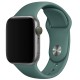 Силіконовий ремінець для Apple Watch 38/40/41/42mm(ser.10) Зелений / Pine green