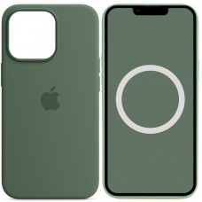 Чохол Silicone case (AAA) full with Magsafe and Animation для Apple iPhone 13 Pro Max (6.7") Зелений / Eucalyptus