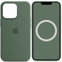 Чохол Silicone case (AAA) full with Magsafe and Animation для Apple iPhone 13 Pro Max (6.7") Зелений / Eucalyptus