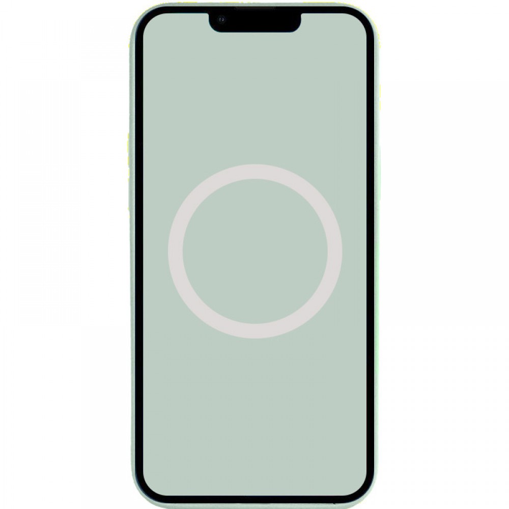 Чохол Silicone case (AAA) with Magsafe and Animation для Apple iPhone 14 (6.1") Бірюзовий / Succulent