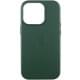 Шкіряний чохол Leather Case (AAA) with MagSafe and Animation для Apple iPhone 16 Pro Max (6.9") Green