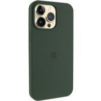 Чохол Silicone Case (AA) Logo with MagSafe для Apple iPhone 12 Pro Max (6.7") Зелений / Cyprus Green