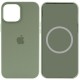 Чохол Silicone case (AAA) full with Magsafe and Animation для Apple iPhone 15 Pro (6.1") Зелений / Cypress