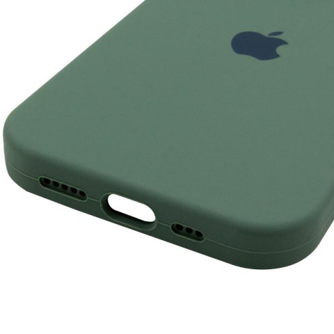 Чохол Silicone Case Full Camera Protective (AA) для Apple iPhone 13 Pro (6.1") Зелений / Pine green