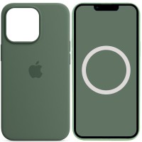 Чохол Silicone case (AAA) with Magsafe and Animation для Apple iPhone 13 Pro (6.1") Зелений / Eucalyptus