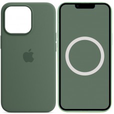 Чохол Silicone case (AAA) with Magsafe and Animation для Apple iPhone 13 Pro (6.1") Зелений / Eucalyptus
