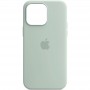 Чохол Silicone case (AAA) full with Magsafe and Animation для Apple iPhone 14 Pro Max (6.7") Бірюзовий / Succulent
