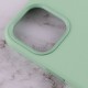 Чохол Silicone case (AAA) with Magsafe and Animation для Apple iPhone 12 Pro Max (6.7") Зелений / Pistachio