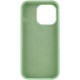 Чохол Silicone Case Full Protective (AA) NO LOGO для Apple iPhone 13 Pro (6.1") Зелений / Pistachio
