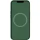 Чохол Silicone case (AAA) with Magsafe and Animation для Apple iPhone 13 Pro Max (6.7") Зелений / Clover
