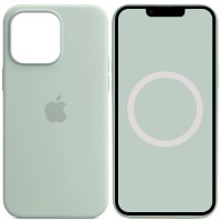 Чохол Silicone case (AAA) with Magsafe and Animation для Apple iPhone 14 Pro Max (6.7") Бірюзовий / Succulent