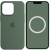 Чохол Silicone case (AAA) with Magsafe and Animation для Apple iPhone 13 Pro (6.1") Зелений / Eucalyptus