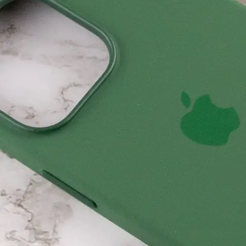 Чохол Silicone case (AAA) with Magsafe and Animation для Apple iPhone 13 Pro Max (6.7") Зелений / Clover