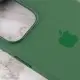 Чохол Silicone case (AAA) with Magsafe and Animation для Apple iPhone 13 Pro Max (6.7") Зелений / Clover