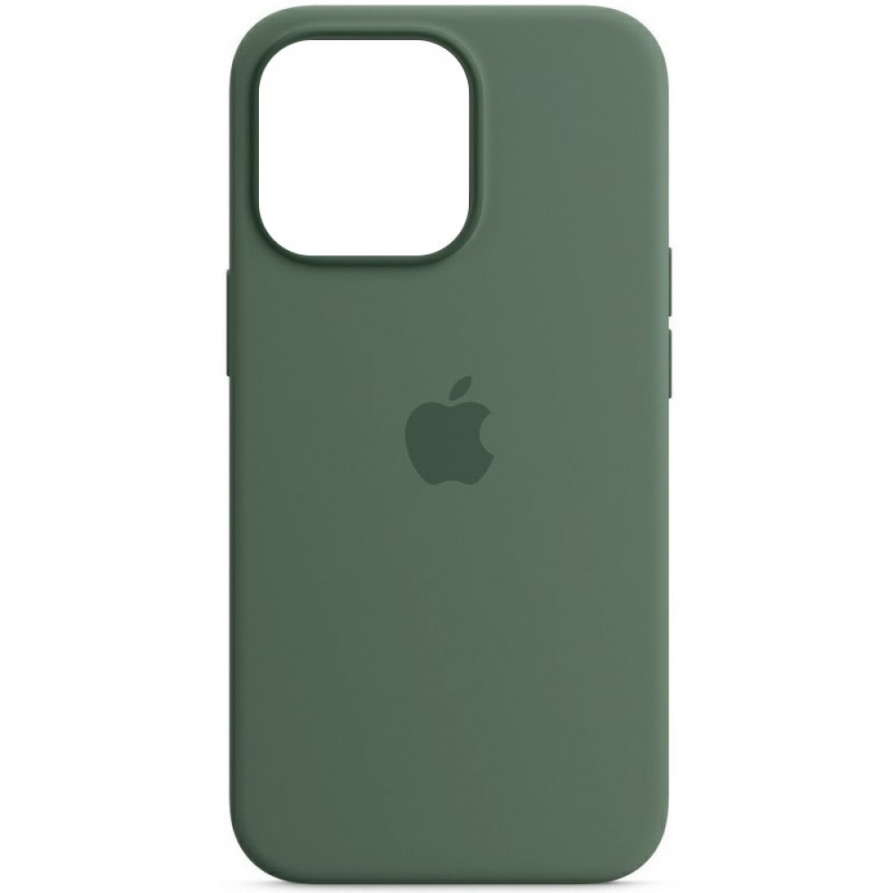 Чохол Silicone case (AAA) with Magsafe and Animation для Apple iPhone 13 Pro (6.1") Зелений / Eucalyptus