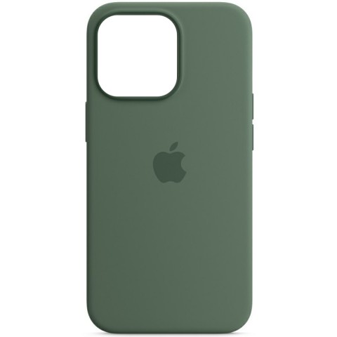 Чохол Silicone case (AAA) with Magsafe and Animation для Apple iPhone 13 Pro (6.1") Зелений / Eucalyptus