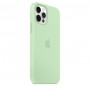 Чохол Silicone Case Full Protective (AA) для Apple iPhone 13 Pro (6.1") Зелений / Pistachio